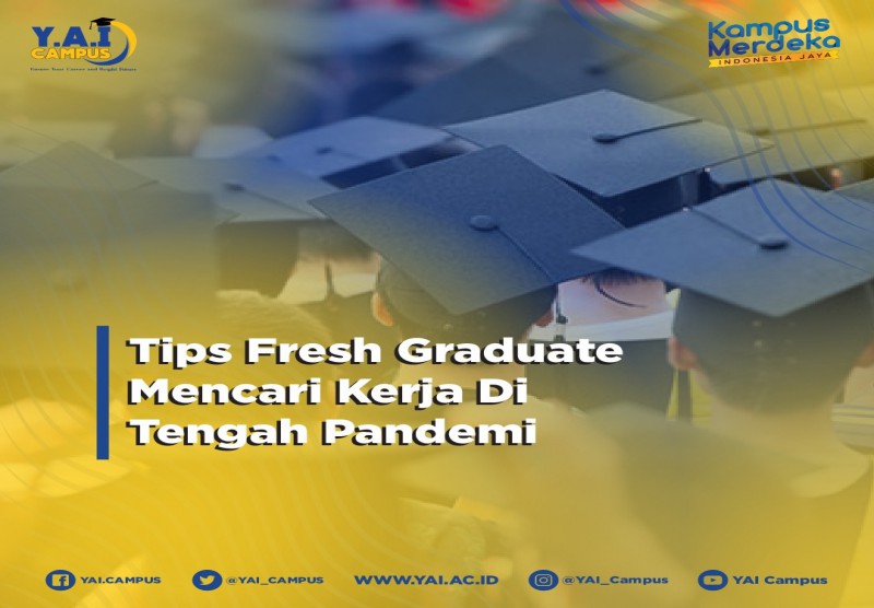 Tips Fresh Graduate Mencari Kerja Di Tengah Pandemi